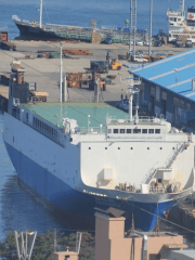 RORO CARGO SHIP 1992blt Dwt.3,713mt